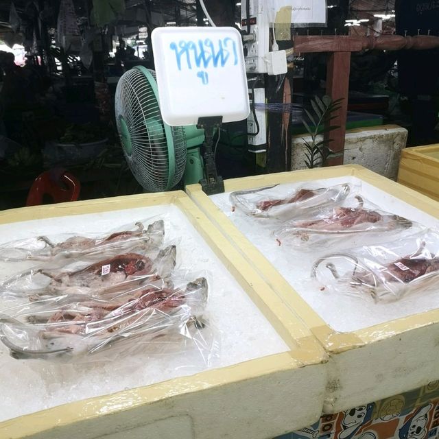 เดินหาของป่า🍖ตลาดบ้ายห้วยเดื่อ
