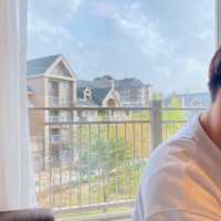평창 알펜시아 홀리데이인스위트 애견동반 숙소추천