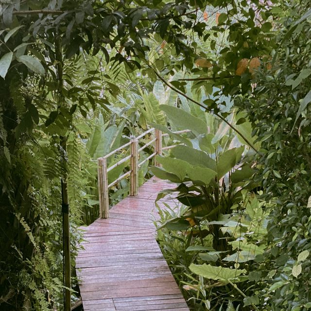Nottyjourney เจอ Khaosok Boutique Camps
