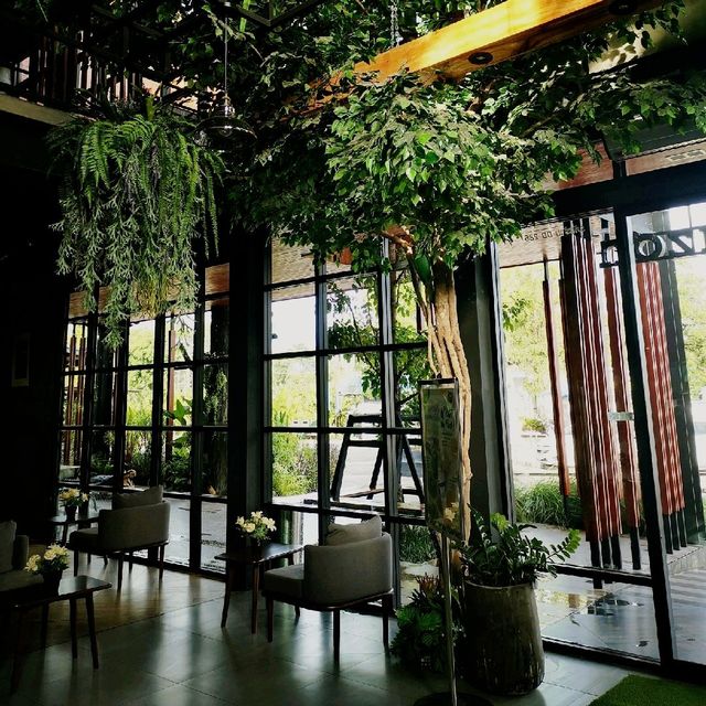 อเมซอน​ เขียวขจี​ ที่นี่พิจิตร​ 