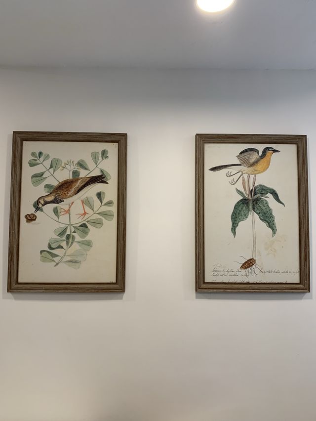 藝術感Cozy Cafe