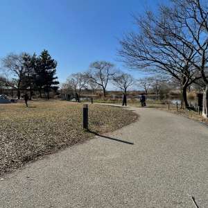 川島パーキングエリアにあるかなり大きい公園!【河川環境楽園】