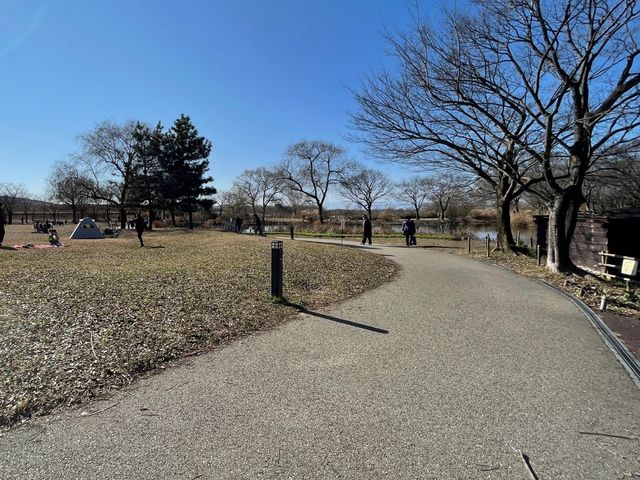 川島パーキングエリアにあるかなり大きい公園！【河川環境楽園】