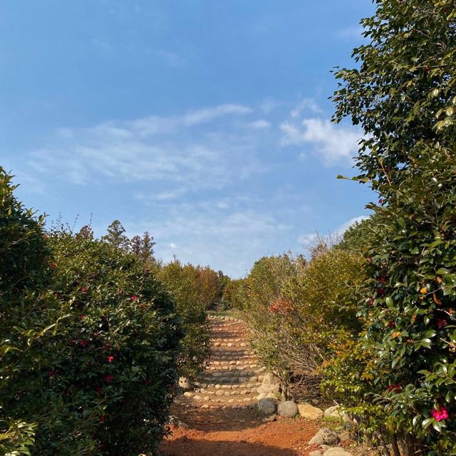제주 파더스가든, 동백꽃 보러오세요🌺