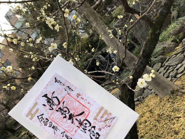 【東京】湯島天満宮 〜梅まつり(3/8まで)〜