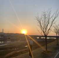 [대구] 노을 명소, 강정보🌅🌇