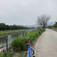 挑戰60公里屯馬單車線 