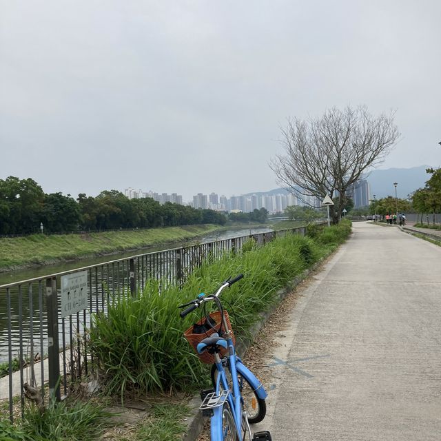 挑戰60公里屯馬單車線 