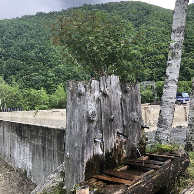 【木曽駒冷水】秘境の天然水を求めて。