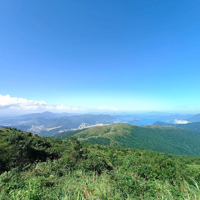 針山·草山