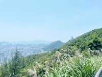 札山觀景台