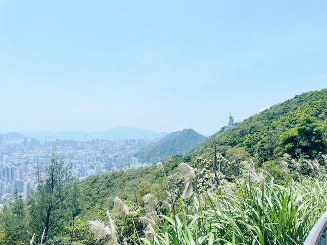 札山觀景台