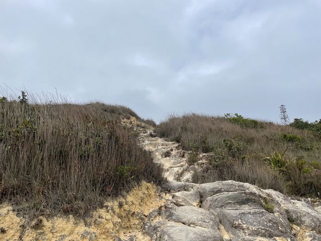 城市景、山景都能目睹的小馬山🤩