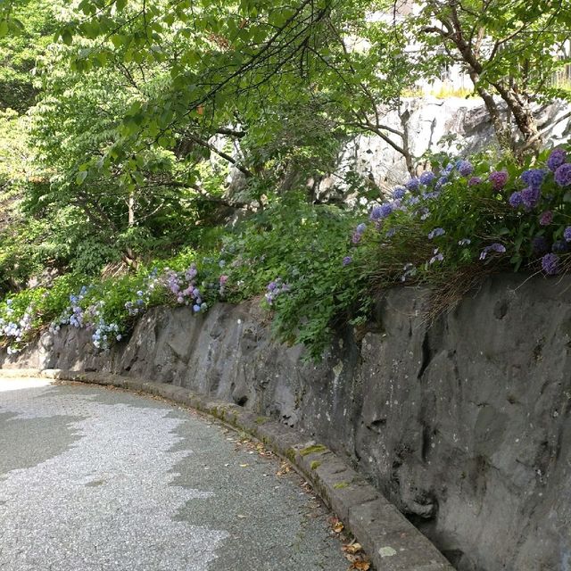 湯けむりの坂