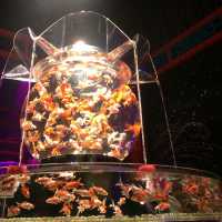 【東京】アートアクアリウム〜金魚〜進化するアート