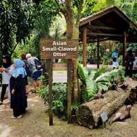 Singapore Zoo Expedition Trip