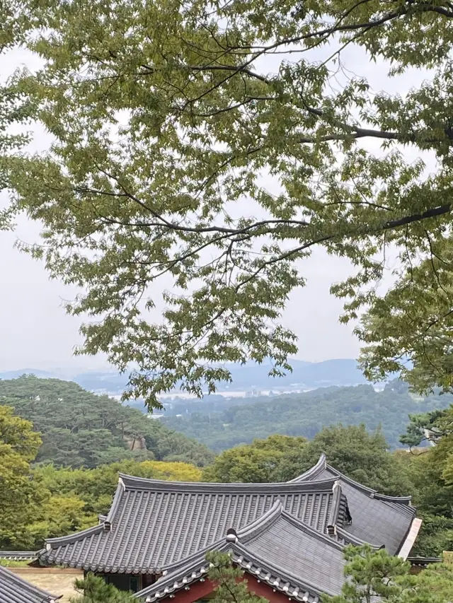 자연이 주는 여유로움을 만끽할 수 있는 강화 전등사 뚜벅이 여행