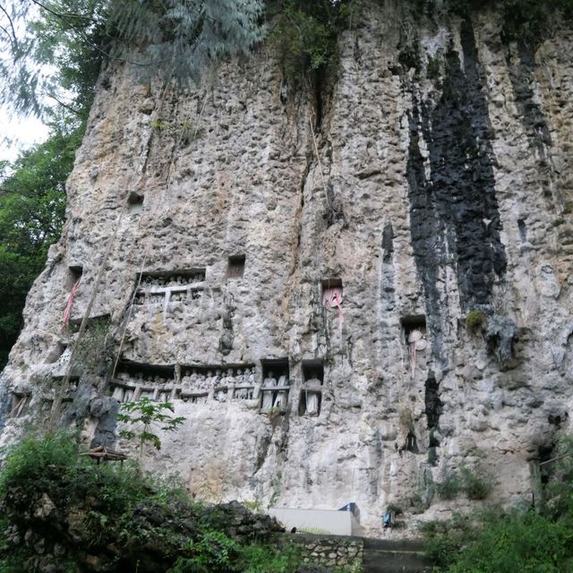 Rantepao - At the heart of Toraja rituals
