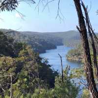 Kuring Gai brush walk