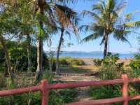 【CP值最高的紅樹林~泥涌🌴】