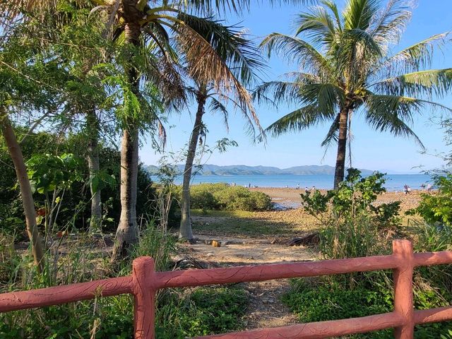 【CP值最高的紅樹林~泥涌🌴】