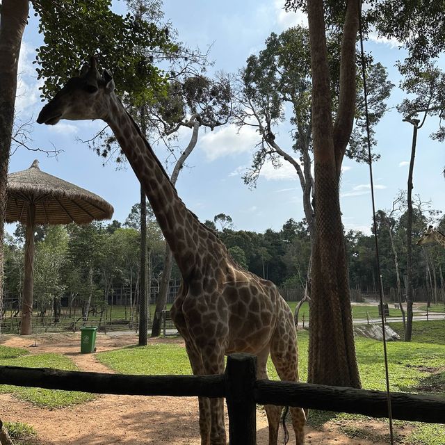 Vinpearl Safari World Phu Quoc