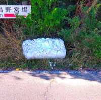 女木島観光