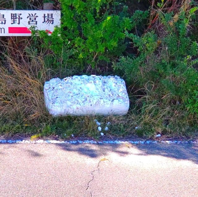 女木島観光