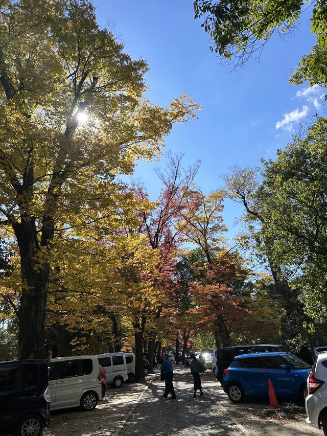 【京都】北野天満宮へ参拝