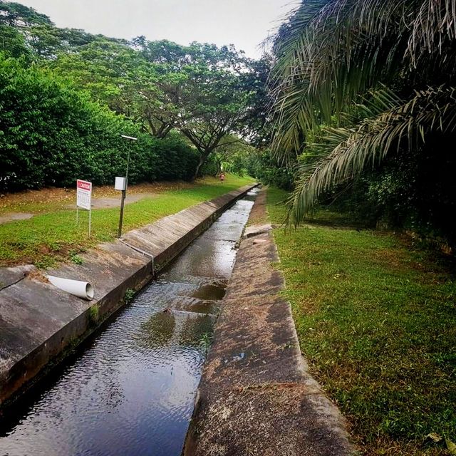 A hike loop from macritchie