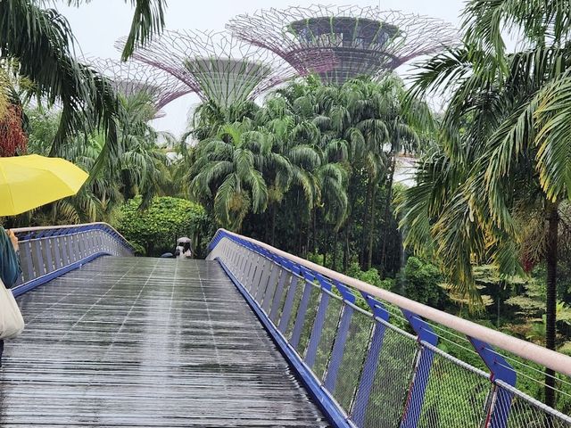 Beautiful gardens & a must see at Singapore