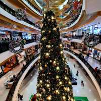 ชมต้นคริสต์มาส 🎄⛄❄️ที่ใหญ่ที่สุดในภาคเหนือ