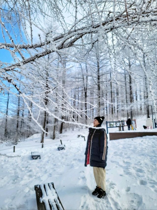 차타고 해발1330m 만항재를 즐기는 눈꽃여행❄️🤍