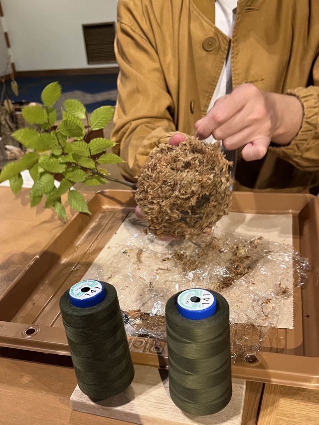 自分だけの小さな奥入瀬を持ち帰ろう🌿