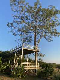 ภูชมตะวัน@บ้านซำตะเคียน สายแคมป์ห้ามพลาดด 🏕️