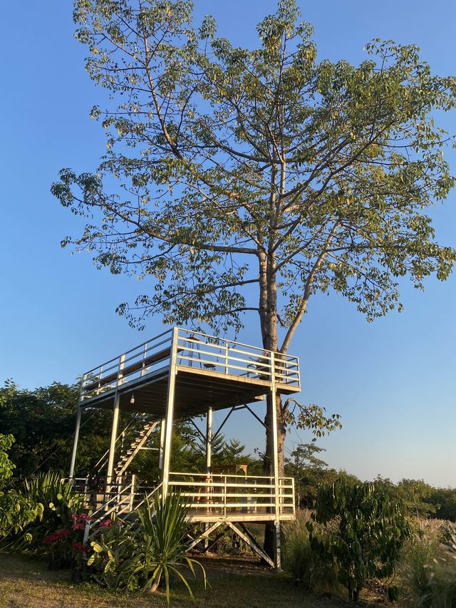 ภูชมตะวัน@บ้านซำตะเคียน สายแคมป์ห้ามพลาดด 🏕️