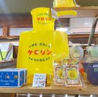 鳥取の城下町鹿野町にあるレトロ雑貨店