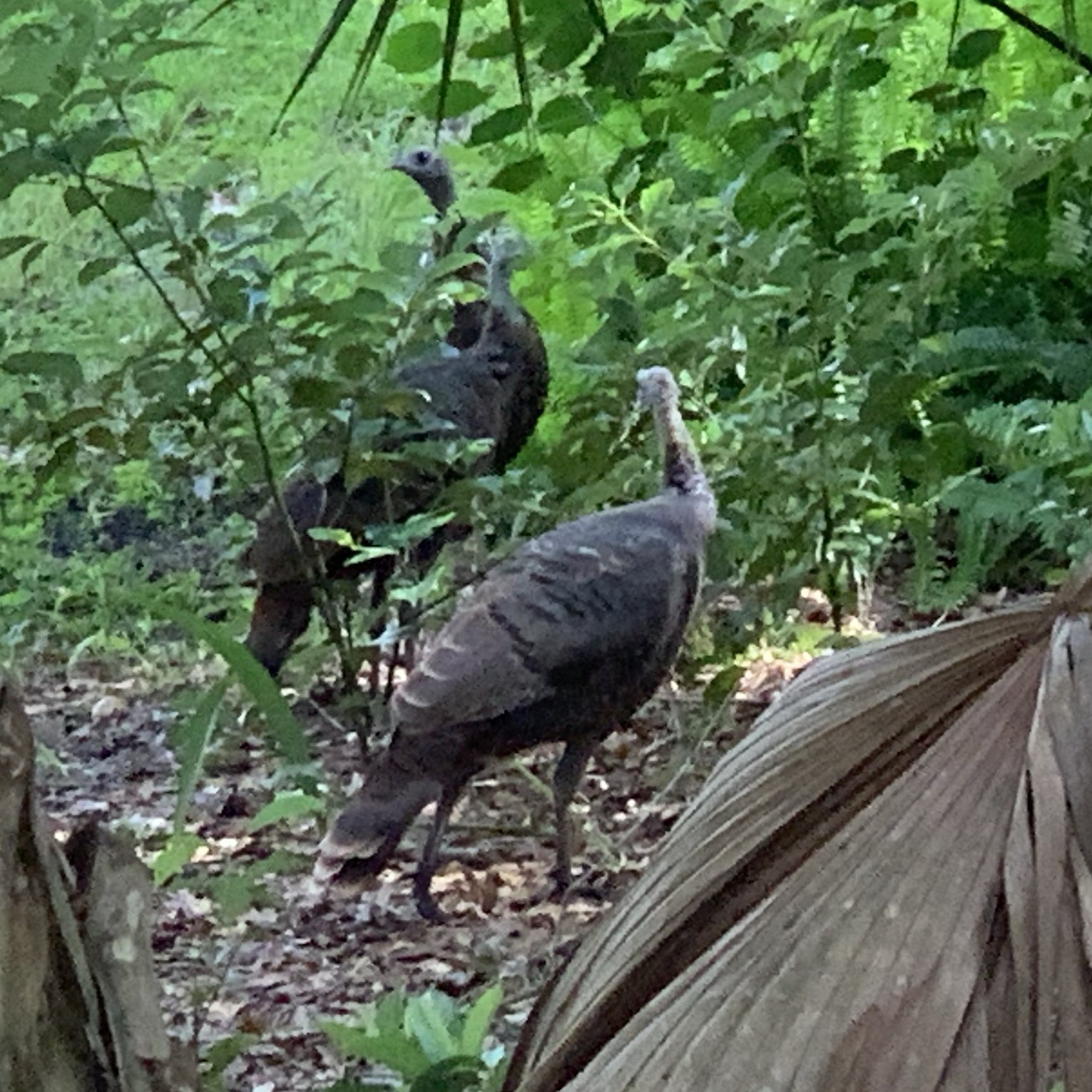 Seminole County 2023 Top Things to Do Seminole County Travel Guides