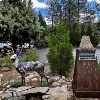 Getting wild in Idyllwild