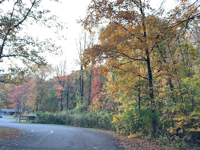 Columbus - Fall Colors 