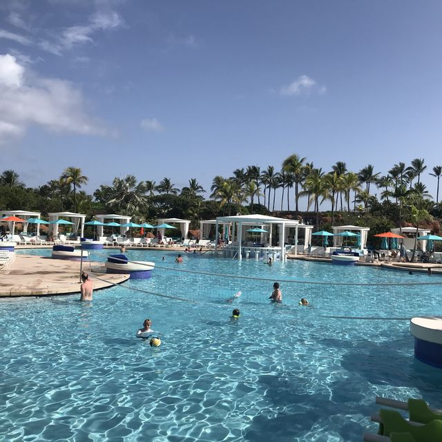 Fun day at AquaVenture ~ Atlantis 