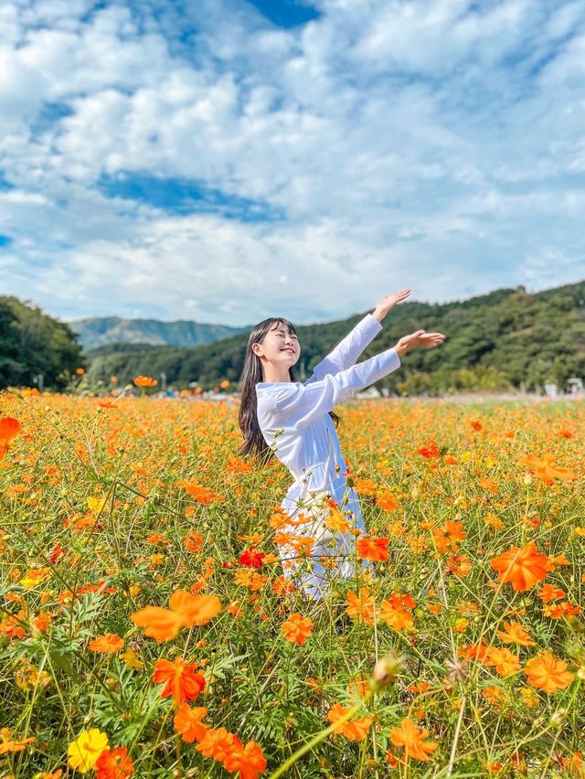 꽃잔치가 열린 상림공원💜