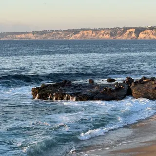 La Jolla Travel Guide 2024 Things To