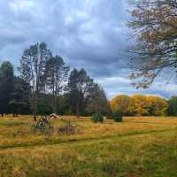 Fall in Cardiff