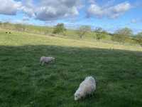 Beecraigs Country Park
