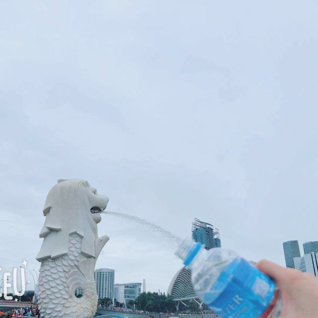 新加坡🇸🇬又是奇妙的旅行