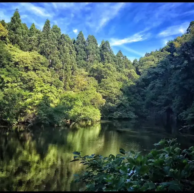 Strolling Around Nara - Japan 