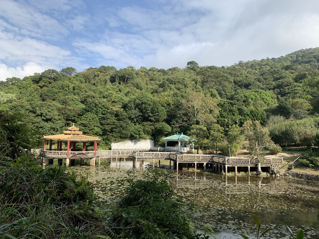 凌風石澗龍仔悟園大澳嘆美食