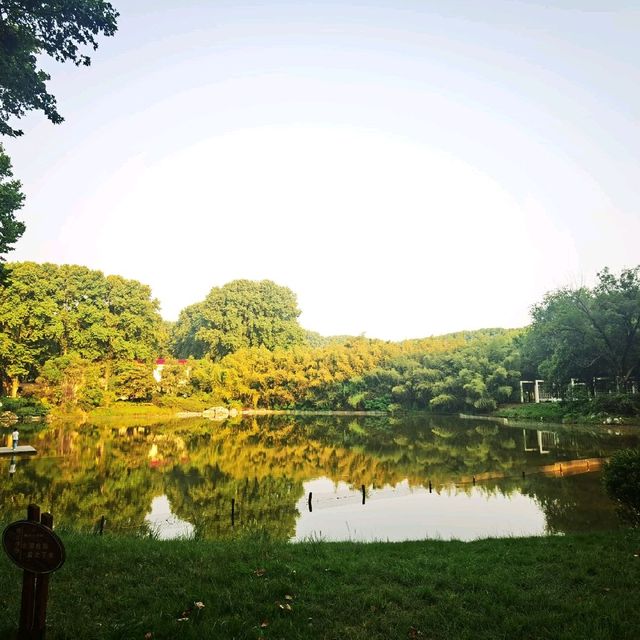 Great staycation experience!