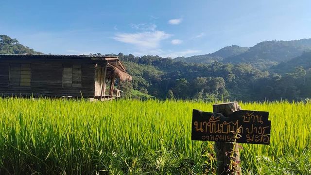 ที่พักหลักร้อย นาขั้นบันไดบ้านปางมะโอ